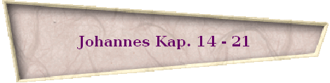 Johannes Kap. 14 - 21